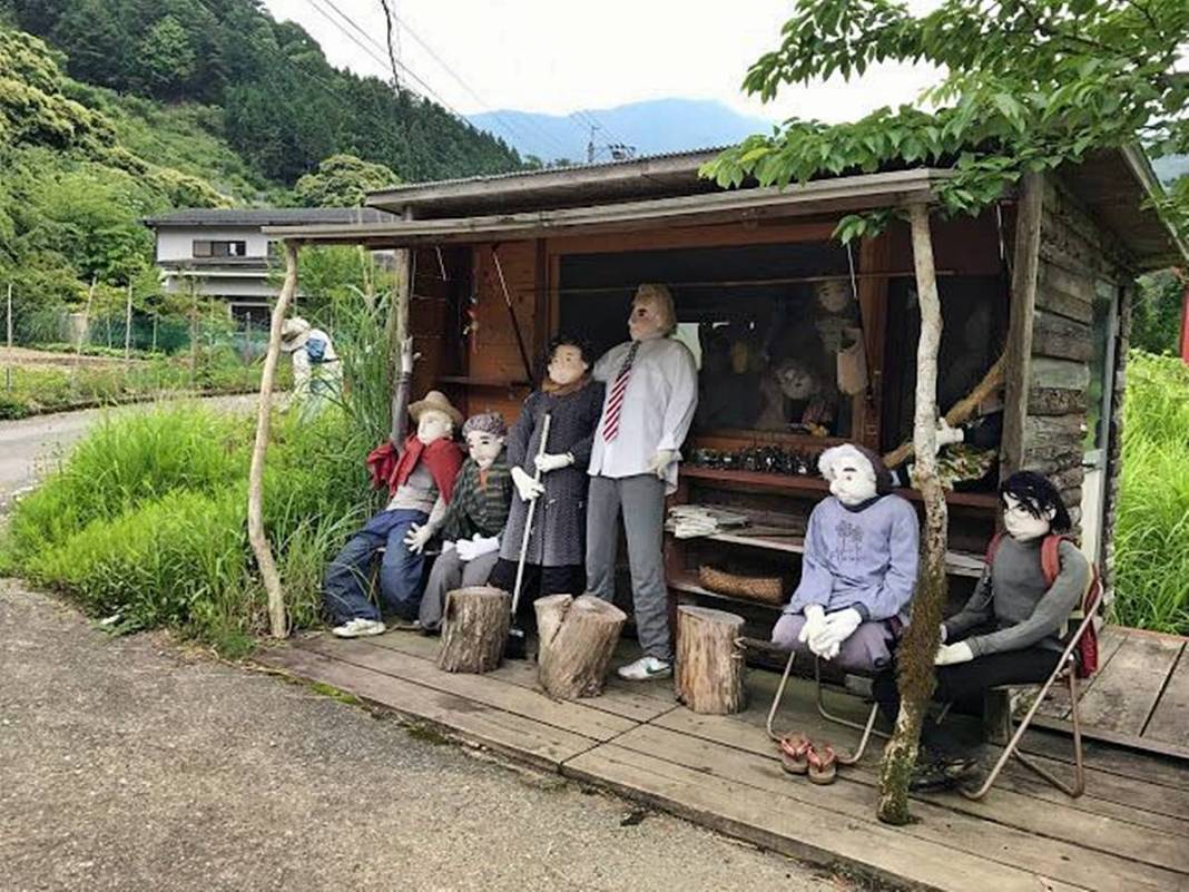 Bu köye gelenler gözlerine inanamıyor: Tüyler ürperten manzara! Hepsi yetişkin insan boyutlarında 35